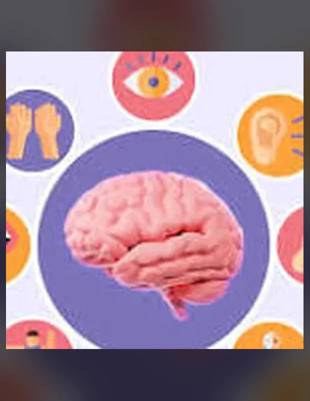 Capa do Guia de Perfil Sensorial na Equoterapia